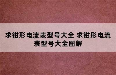 求钳形电流表型号大全 求钳形电流表型号大全图解